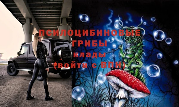 а пвп мука Алзамай