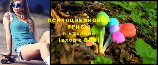 а пвп мука Алзамай