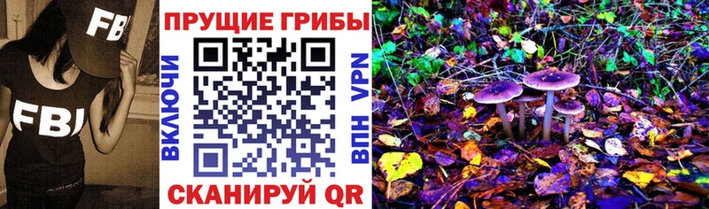 Галлюциногенные грибы прущие грибы купить Сенгилей
